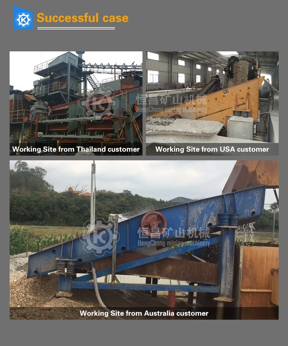 Gold Dewatering Vibrating Screen Mining Dewatering Screen Dewatering Vibrating Screen for Mineral Tailings