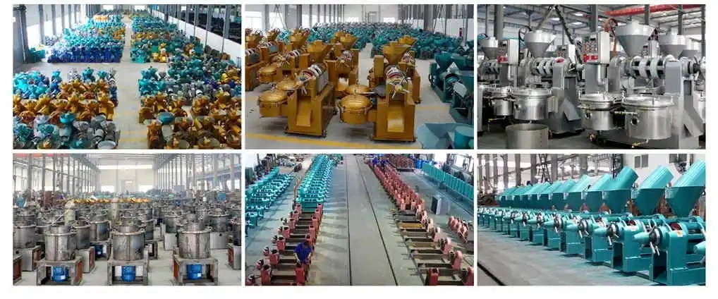 400kg Per Hour Soybean Sunflower Safflower Seeds Yzyx140cjgx Oil Press Machine